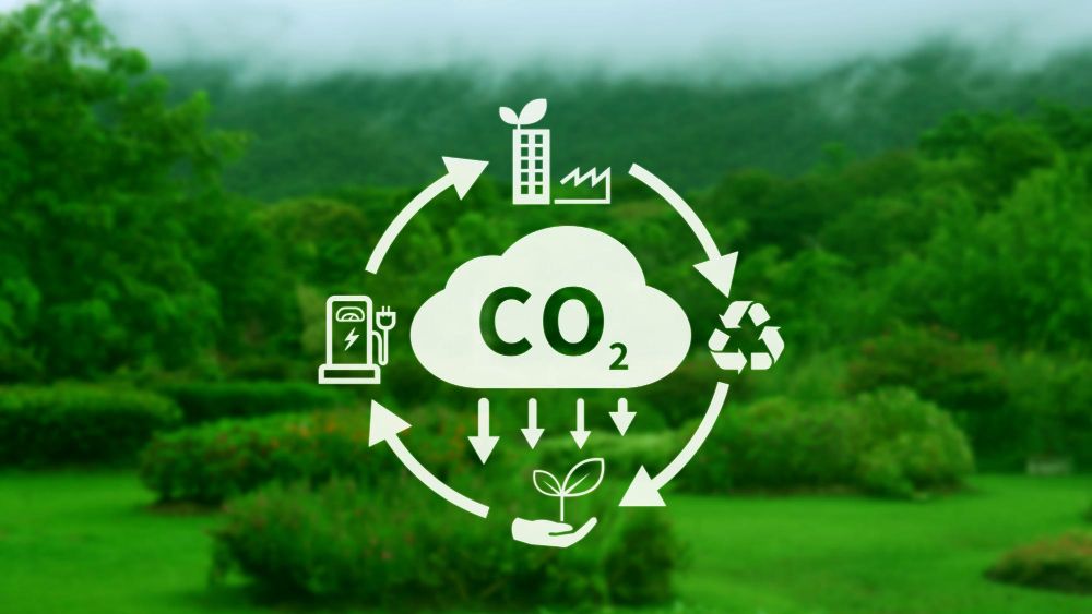 Contexto Científico