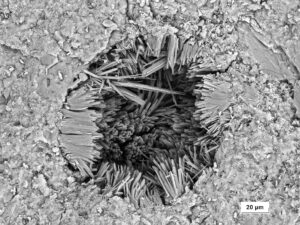 Esteyco 1 4-1250x-20kV BSE